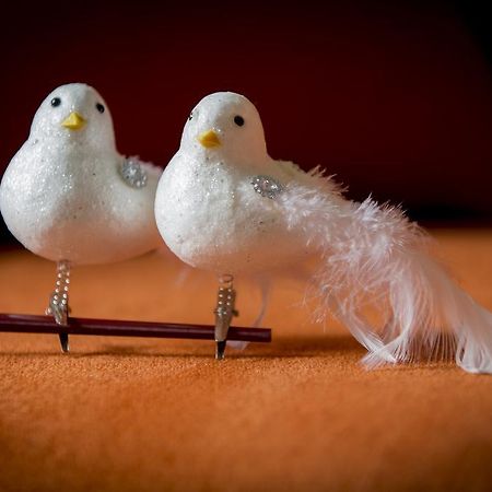Two White Pigeons Villa Ипер Стая снимка