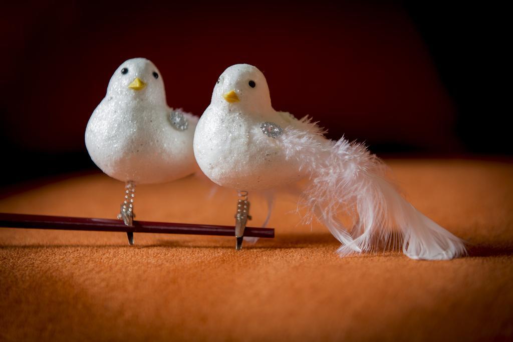 Two White Pigeons Villa Ипер Стая снимка